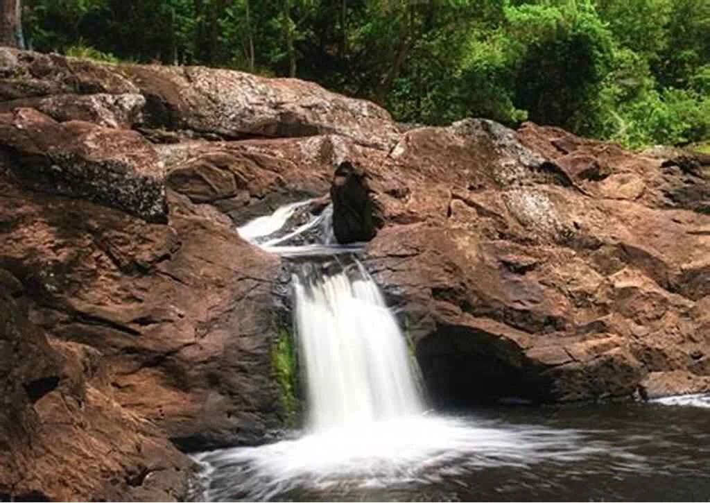 Quá trình sản xuất rượu ngô Hà Giang có gì đặc biệt và ảnh hưởng như nào đến chất lượng của rượu